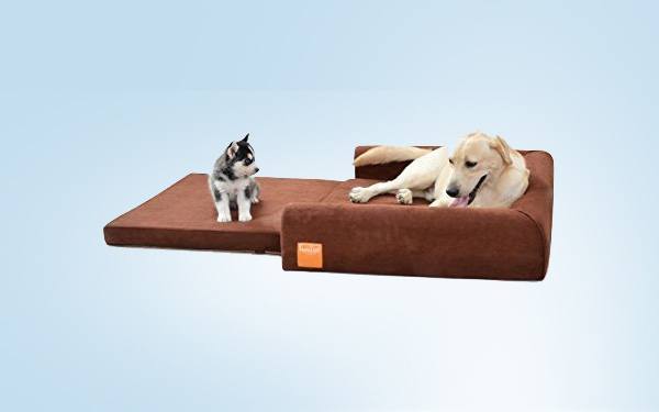 laifug dog bed