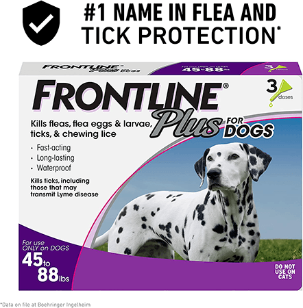 Frontline Plus a husky flea treatment