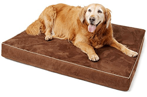 Papa Pet Orthopedic dog bed
