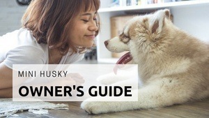 Mini Husky Owner's Guide