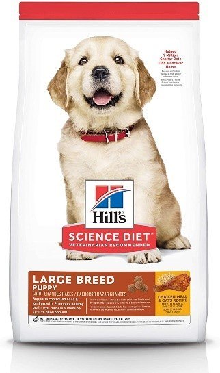 Hill's Science Diet Dry Dog Food  Large Breed Puppy
